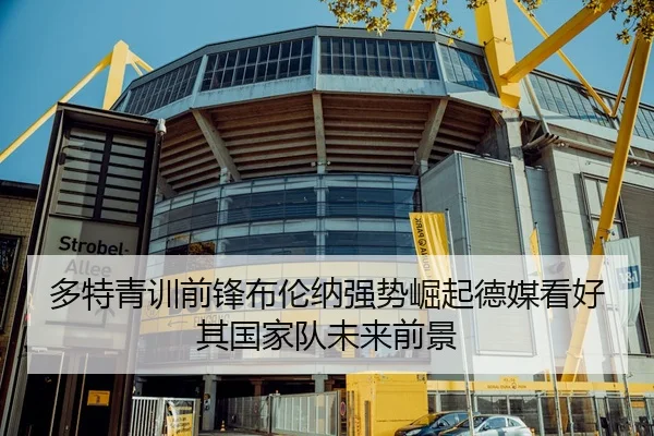 多特青训前锋布伦纳强势崛起德媒看好其国家队未来前景